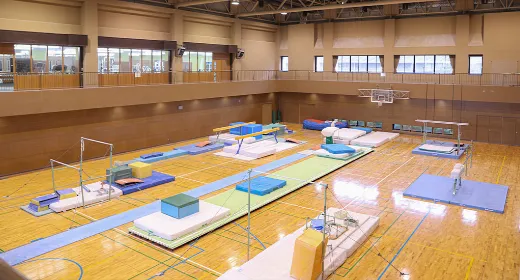 Wellness 2008イメージ